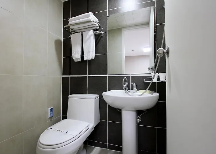 Hotel Myeongdong 3*